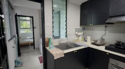 Palm Green (D5), Apartment #458433141